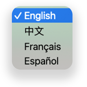 MultiLanguage